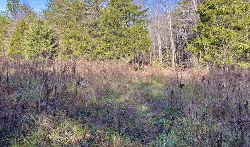 Photo #51 of SOLD property in Off Wheeler Rd, Lynchburg, VA 82.2 acres