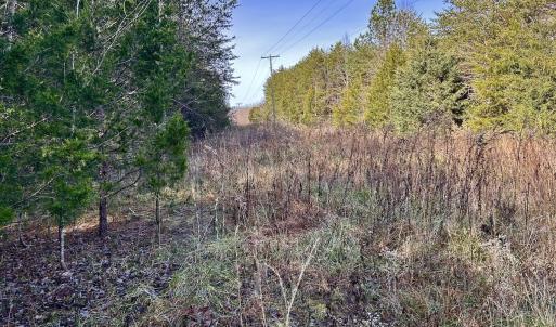 Photo #52 of SOLD property in Off Wheeler Rd, Lynchburg, VA 82.2 acres