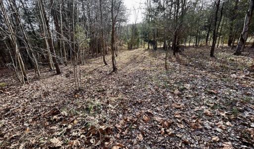 Photo #53 of SOLD property in Off Wheeler Rd, Lynchburg, VA 82.2 acres