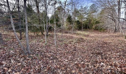 Photo #55 of SOLD property in Off Wheeler Rd, Lynchburg, VA 82.2 acres