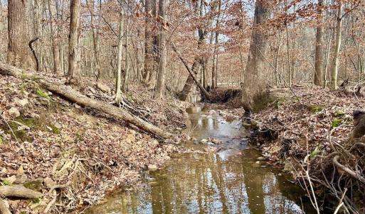 Photo #60 of SOLD property in Off Wheeler Rd, Lynchburg, VA 82.2 acres