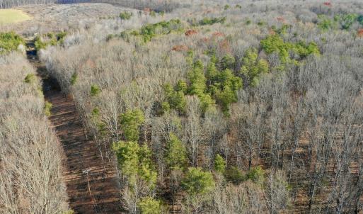 Photo #62 of SOLD property in Off Wheeler Rd, Lynchburg, VA 82.2 acres