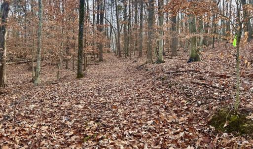 Photo #63 of SOLD property in Off Wheeler Rd, Lynchburg, VA 82.2 acres