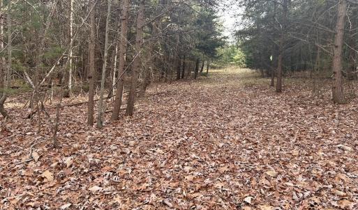 Photo #65 of SOLD property in Off Wheeler Rd, Lynchburg, VA 82.2 acres