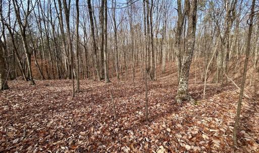 Photo #66 of SOLD property in Off Wheeler Rd, Lynchburg, VA 82.2 acres