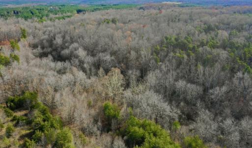 Photo #67 of SOLD property in Off Wheeler Rd, Lynchburg, VA 82.2 acres