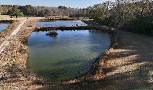 Photo #15 of SOLD property in 03 Smaw Road, washington , NC 18.0 acres