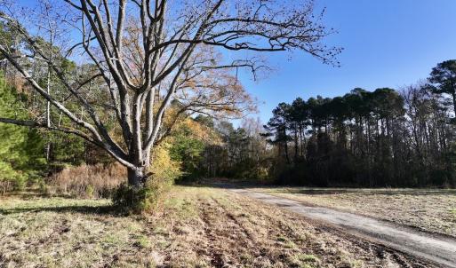 Photo #16 of SOLD property in 03 Smaw Road, washington , NC 18.0 acres