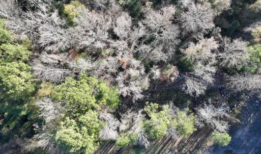 Photo #25 of SOLD property in 03 Smaw Road, washington , NC 18.0 acres