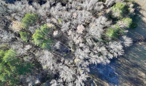 Photo #26 of SOLD property in 03 Smaw Road, washington , NC 18.0 acres