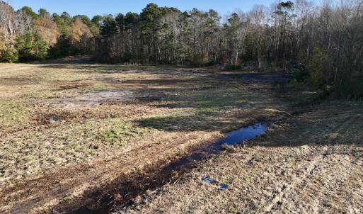 Photo #6 of SOLD property in 03 Smaw Road, washington , NC 18.0 acres
