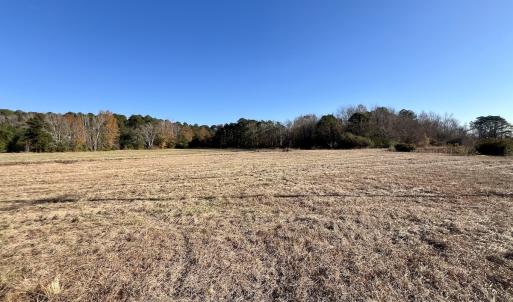 Photo #8 of SOLD property in 03 Smaw Road, washington , NC 18.0 acres