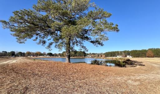 Photo #37 of Off Smaw Road, Washington , NC 35.1 acres
