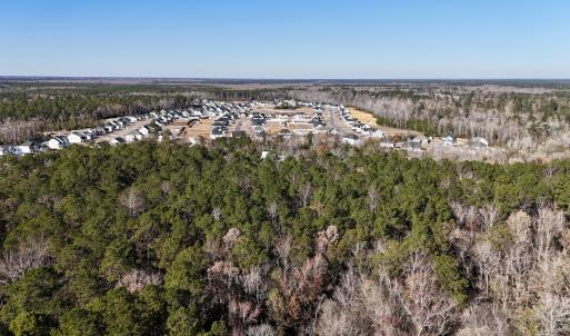 Photo #16 of SOLD property in Off Wo Johnston Ave , Rocky Point, NC 12.0 acres
