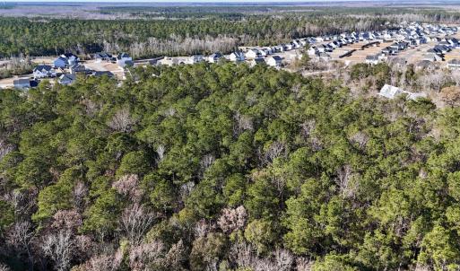 Photo #17 of SOLD property in Off Wo Johnston Ave , Rocky Point, NC 12.0 acres