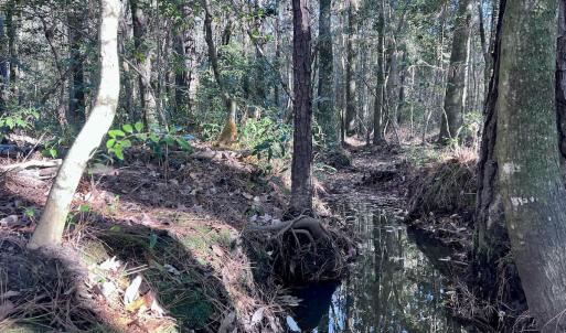 Photo #18 of SOLD property in Off Wo Johnston Ave , Rocky Point, NC 12.0 acres