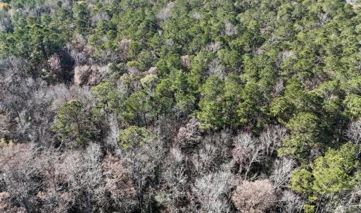 Photo #19 of SOLD property in Off Wo Johnston Ave , Rocky Point, NC 12.0 acres