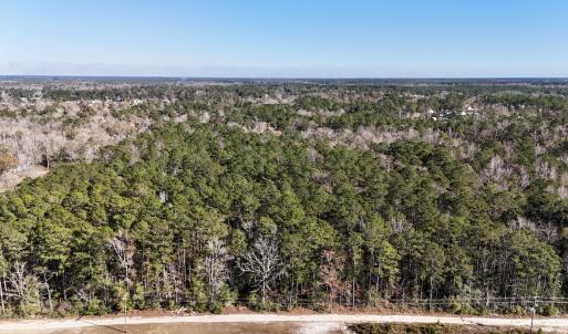 Photo #1 of SOLD property in Off Wo Johnston Ave , Rocky Point, NC 12.0 acres