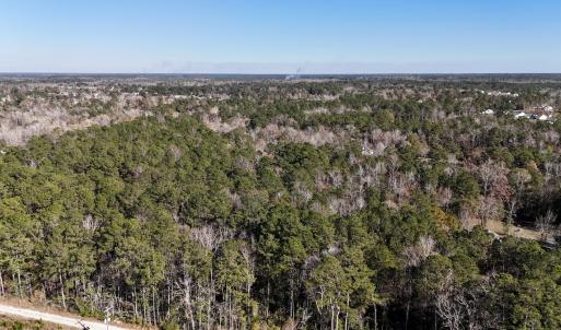 Photo #2 of SOLD property in Off Wo Johnston Ave , Rocky Point, NC 12.0 acres