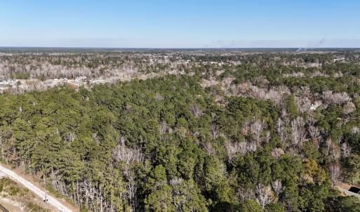 Photo #3 of SOLD property in Off Wo Johnston Ave , Rocky Point, NC 12.0 acres