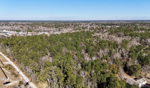 Photo #4 of SOLD property in Off Wo Johnston Ave , Rocky Point, NC 12.0 acres