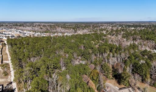 Photo #5 of SOLD property in Off Wo Johnston Ave , Rocky Point, NC 12.0 acres