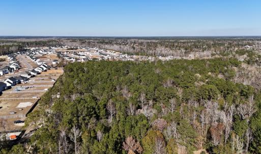 Photo #6 of SOLD property in Off Wo Johnston Ave , Rocky Point, NC 12.0 acres