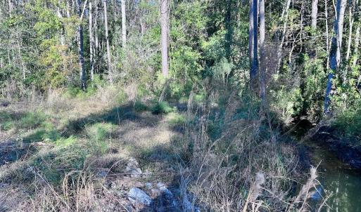 Photo #7 of SOLD property in Off Wo Johnston Ave , Rocky Point, NC 12.0 acres