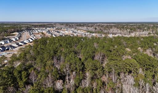 Photo #10 of SOLD property in Off Wo Johnston Ave , Rocky Point, NC 12.0 acres