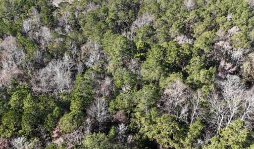 Photo #12 of SOLD property in Off Wo Johnston Ave , Rocky Point, NC 12.0 acres