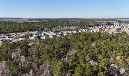Photo #13 of SOLD property in Off Wo Johnston Ave , Rocky Point, NC 12.0 acres
