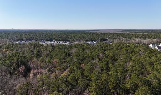 Photo #21 of SOLD property in Off Wo Johnston Ave , Rocky Point, NC 12.0 acres