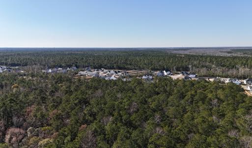 Photo #24 of SOLD property in Off Wo Johnston Ave , Rocky Point, NC 12.0 acres