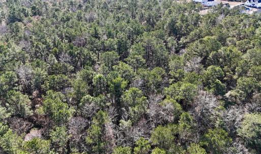 Photo #27 of SOLD property in Off Wo Johnston Ave , Rocky Point, NC 12.0 acres