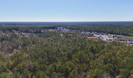 Photo #28 of SOLD property in Off Wo Johnston Ave , Rocky Point, NC 12.0 acres
