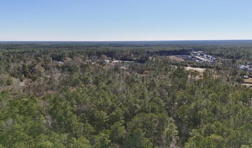 Photo #29 of SOLD property in Off Wo Johnston Ave , Rocky Point, NC 12.0 acres