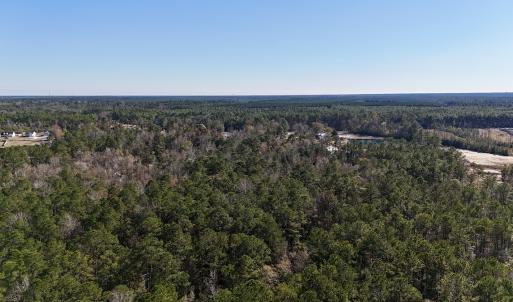Photo #31 of SOLD property in Off Wo Johnston Ave , Rocky Point, NC 12.0 acres