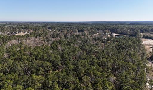 Photo #32 of SOLD property in Off Wo Johnston Ave , Rocky Point, NC 12.0 acres