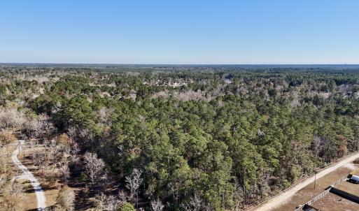 Photo #33 of SOLD property in Off Wo Johnston Ave , Rocky Point, NC 12.0 acres
