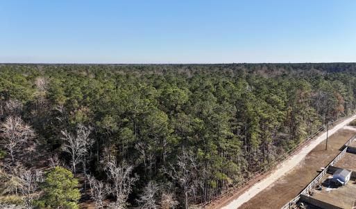 Photo #35 of SOLD property in Off Wo Johnston Ave , Rocky Point, NC 12.0 acres