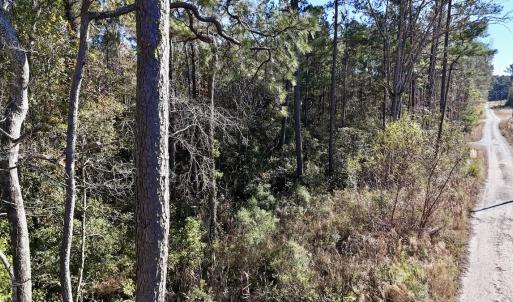 Photo #36 of SOLD property in Off Wo Johnston Ave , Rocky Point, NC 12.0 acres