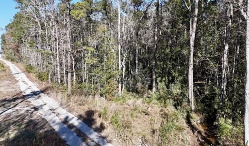 Photo #37 of SOLD property in Off Wo Johnston Ave , Rocky Point, NC 12.0 acres