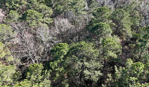 Photo #41 of SOLD property in Off Wo Johnston Ave , Rocky Point, NC 12.0 acres