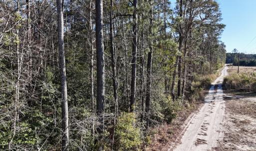 Photo #43 of SOLD property in Off Wo Johnston Ave , Rocky Point, NC 12.0 acres