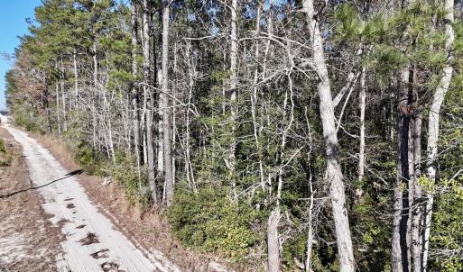 Photo #44 of SOLD property in Off Wo Johnston Ave , Rocky Point, NC 12.0 acres