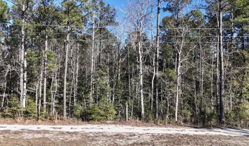 Photo #45 of SOLD property in Off Wo Johnston Ave , Rocky Point, NC 12.0 acres