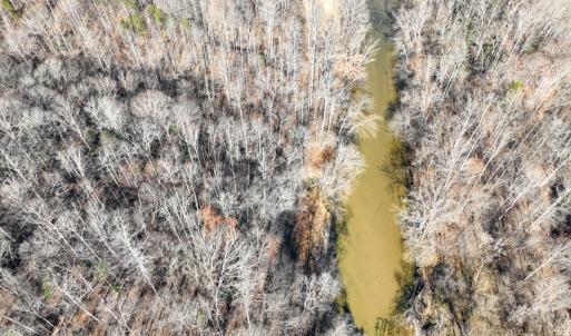 Photo #11 of SOLD property in Off Seven Island Road, Danbury, NC 27.6 acres