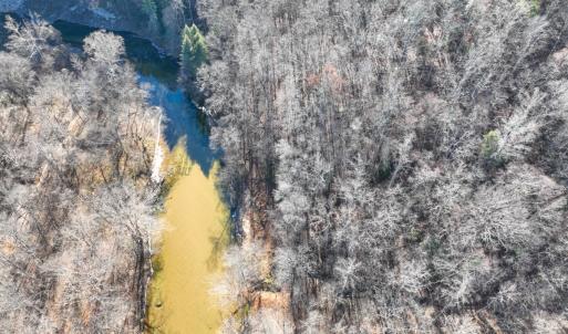 Photo #12 of SOLD property in Off Seven Island Road, Danbury, NC 27.6 acres