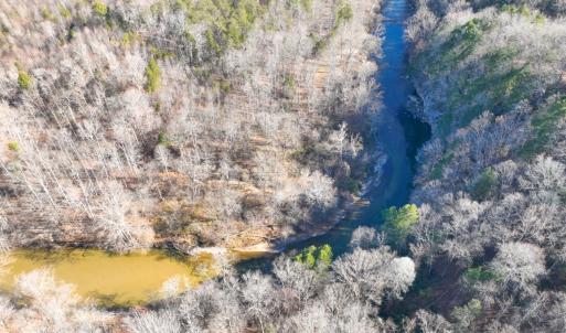 Photo #13 of SOLD property in Off Seven Island Road, Danbury, NC 27.6 acres