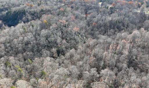 Photo #15 of SOLD property in Off Seven Island Road, Danbury, NC 27.6 acres